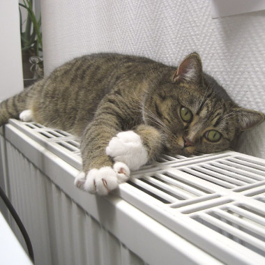 Cold radiator repair in London